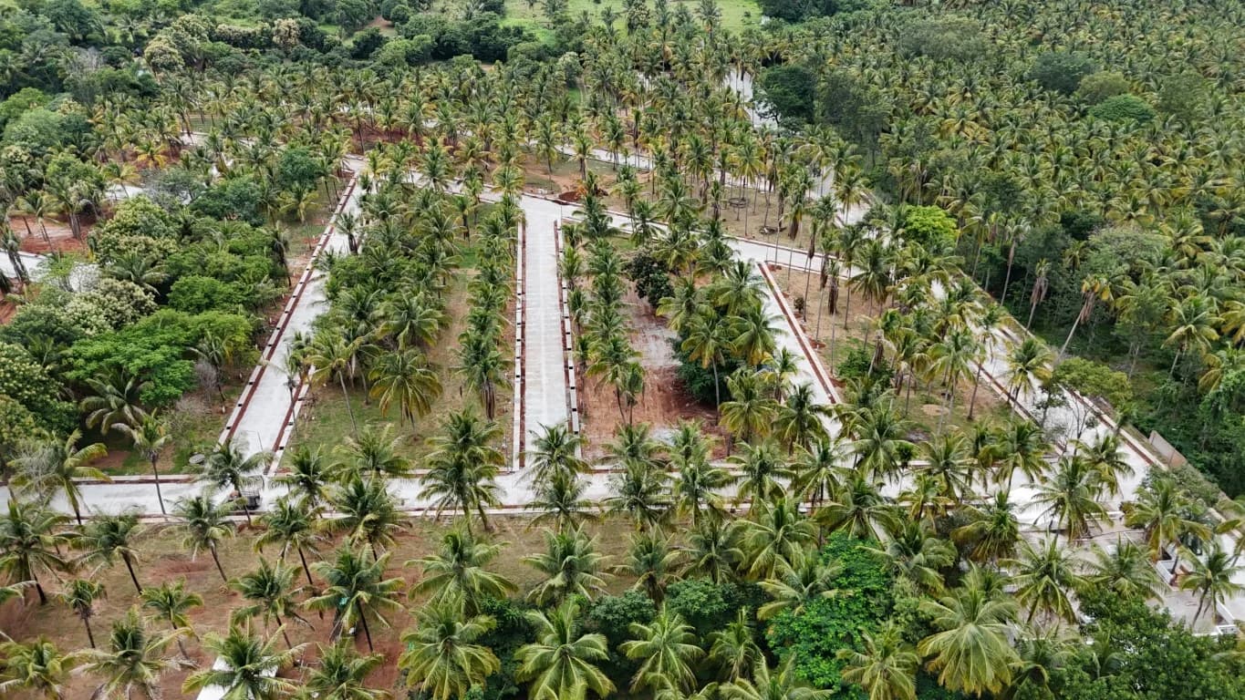 Temple Tree